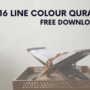 16 Lines Color Coded Quran